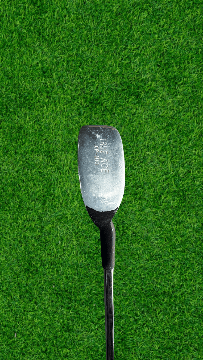 True Ace CP-100 Chipper